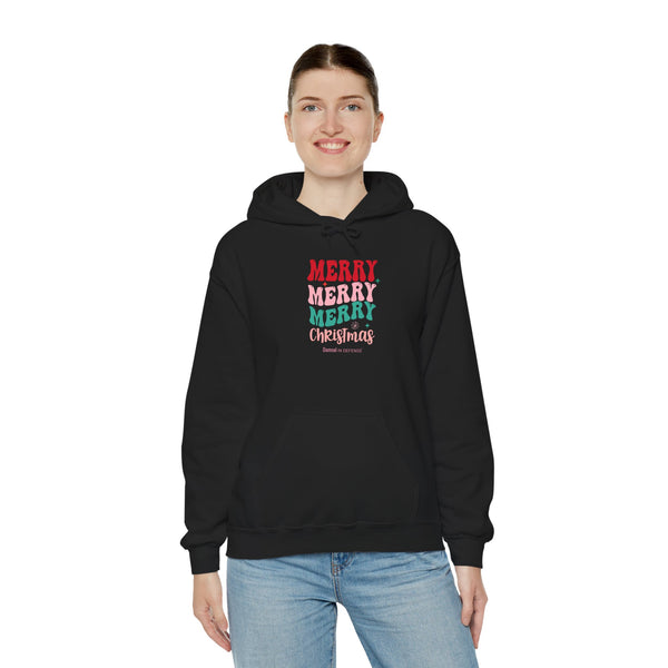 Merry Christmas Hoodie Sweatshirt